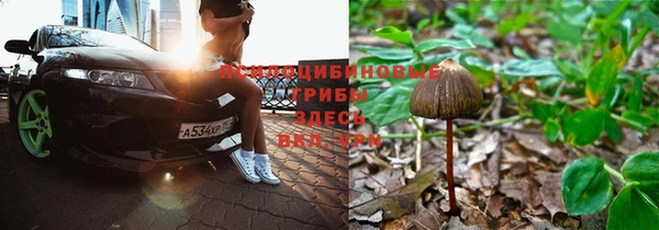 прущие крисы Белоозёрский
